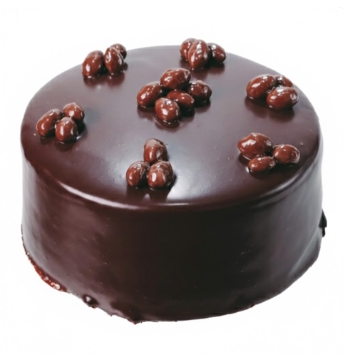 6-9 Kişilik Gurme Çikolatalı Butik Lezzet Serisi pasta