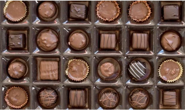 Gurme Dünya Çikolata 750 Gr Taptaze pasta